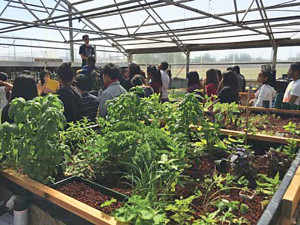Greenhouse